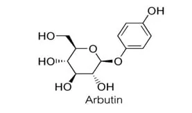 Arbutin trong mỹ phẩm điều trị nám