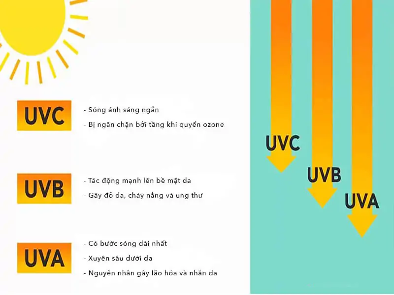 tác động của từng loại tia UV